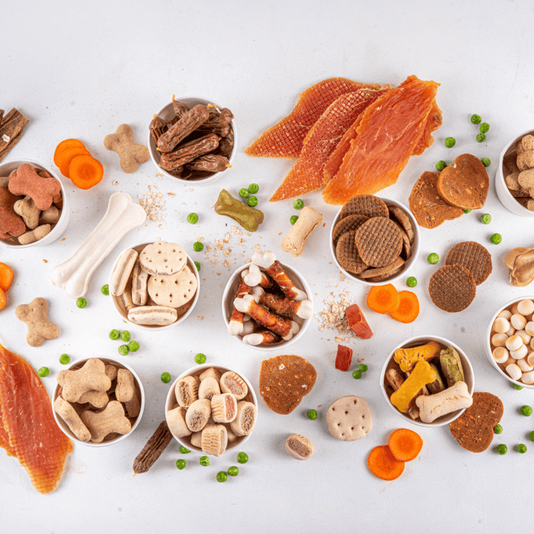 How to Find the Best Dog Treats: A Guide for Dog Owners