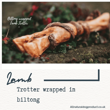 Dark Slate Gray Anco Naturals Biltong Wrapped Lamb Trotter
