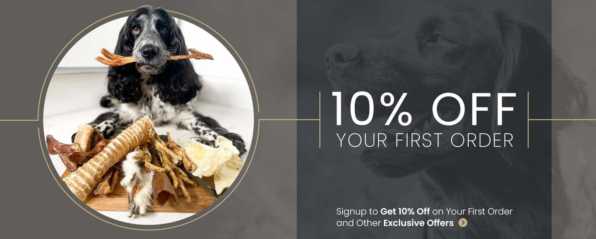 All Natural Dog Treats