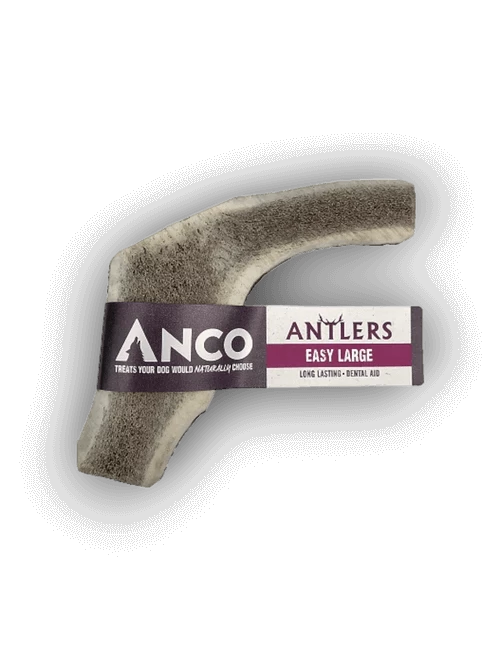 Dim Gray Anco large split antler