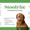 Anal Gland issues-                   StoolRite for Dogs