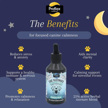 Dark Slate Gray Proflax Omega Calm for Dogs - now contains Salmon oil!