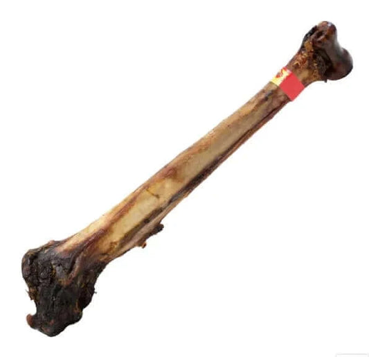 Caveman Ostrich Bone