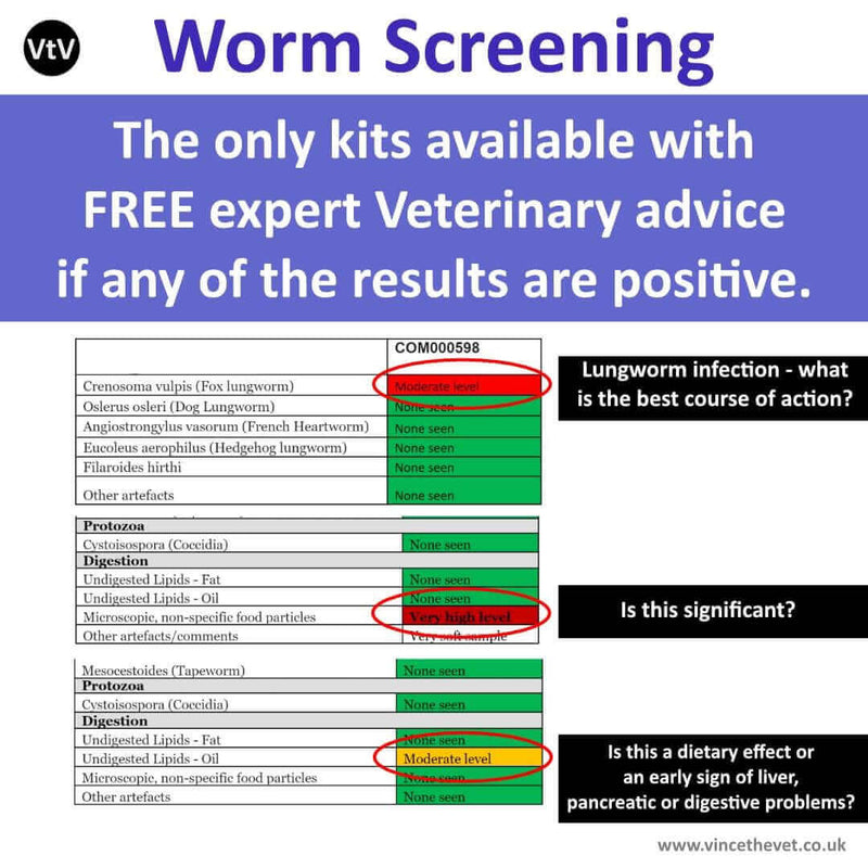Lung Worm Testing Kit