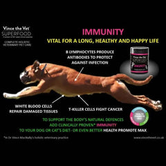 Vince the vet superfood immunity