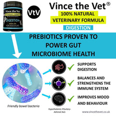 Vince the vet superfood digestion 400g
