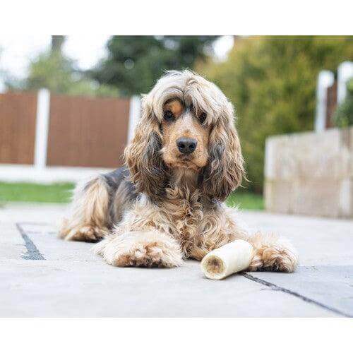 Anco Beef Tails are 100% beef and a tough long lasting chew that come in various widths, approx. 11cm in length - All Natural Dog Products